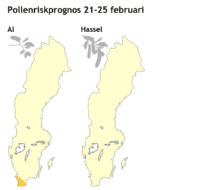 Nu är det officiellt - årets pollensäsong har startat.